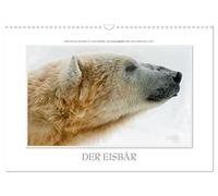 Emotionale Momente: Der Eisbär. (Wandkalender 2026 DIN A3 quer), CALVENDO Monatskalender: Über Jahre hinweg hat der renommierte Naturfotograf Ingo Gerlach GDT Eisbären fotografiert.