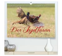 Emotionale Momente: Der Jagdfasan. (hochwertiger Premium Wandkalender 2026 DIN A2 quer), Kunstdruck in Hochglanz: Der Jagdfasan ist durch sein buntes Gefieder in seinem Lebensraum sehr auffällig.