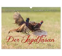 Emotionale Momente: Der Jagdfasan. (Wandkalender 2026 DIN A3 quer), CALVENDO Monatskalender: Der Jagdfasan ist durch sein buntes Gefieder in seinem Lebensraum sehr auffällig.