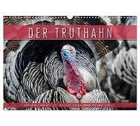Emotionale Momente: Der Truthahn. (Wandkalender 2026 DIN A3 quer), CALVENDO Monatskalender: Der wilde Truthahn ist eine begehrte Delikatesse und kommt überwiegend in Nordamerika vor.
