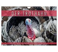 Emotionale Momente: Der Truthahn. (Wandkalender 2026 DIN A4 quer), CALVENDO Monatskalender: Der wilde Truthahn ist eine begehrte Delikatesse und kommt überwiegend in Nordamerika vor.