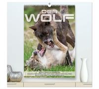 Emotionale Momente: Der Wolf. (hochwertiger Premium Wandkalender 2026 DIN A2 hoch), Kunstdruck in Hochglanz: Herrliche Fotos vom Wolf in seinem Lebensraum.