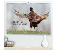 Emotionale Momente: Die Balz der Fasane / CH-Version (hochwertiger Premium Wandkalender 2026 DIN A2 quer), Kunstdruck in Hochglanz: Die Balz der ... dies in wunderschönen Bildern festgehalten.