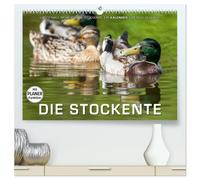 Emotionale Momente: Die Stockente. (hochwertiger Premium Wandkalender 2026 DIN A2 quer), Kunstdruck in Hochglanz: Ingo Gerlach hat tolle Bilder von der Stockente gemacht.