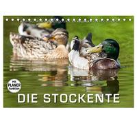 Emotionale Momente: Die Stockente. (Tischkalender 2026 DIN A5 quer), CALVENDO Monatskalender: Ingo Gerlach hat tolle Bilder von der Stockente gemacht.