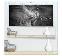 Emotionale Momente: Elefanten in black & white (hochwertiger Premium Wandkalender 2026 DIN A2 quer), Kunstdruck in Hochglanz: Liebenswerte und sanfte Riesen