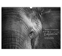 Emotionale Momente: Elefanten in black & white (Wandkalender 2026 DIN A3 quer), CALVENDO Monatskalender: Liebenswerte und sanfte Riesen