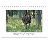 Emotionale Momente: Europäischer Elch. / CH-Version (Tischkalender 2026 DIN A5 quer), CALVENDO Monatskalender: Ingo Gerlach GDT hat den europäischen ... Bildern festgehalten. Mehr unter tierphoto.de