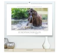 Emotionale Momente: Europäischer Elch Part II (hochwertiger Premium Wandkalender 2026 DIN A2 quer), Kunstdruck in Hochglanz: Ingo Gerlach GDT hat den ... Hier ist der 2. Teil des neuen Elchkalenders.