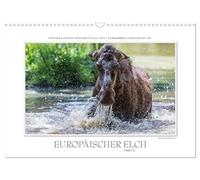 Emotionale Momente: Europäischer Elch Part II (Wandkalender 2026 DIN A3 quer), CALVENDO Monatskalender: Ingo Gerlach GDT hat den europäischen Elch in ... Hier ist der 2. Teil des neuen Elchkalenders.