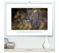 Emotionale Momente: Große Raubkatzen der Welt. (hochwertiger Premium Wandkalender 2026 DIN A2 quer), Kunstdruck in Hochglanz: Ob Tiger, Leopard oder ... die schönsten für diesen Kalender ausgesucht.