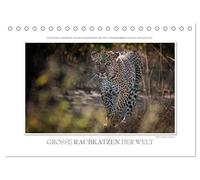 Emotionale Momente: Große Raubkatzen der Welt. (Tischkalender 2026 DIN A5 quer), CALVENDO Monatskalender: Ob Tiger, Leopard oder Löwe - die große ... die schönsten für diesen Kalender ausgesucht.