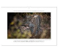 Emotionale Momente: Große Raubkatzen der Welt. (Wandkalender 2026 DIN A3 quer), CALVENDO Monatskalender: Ob Tiger, Leopard oder Löwe - die große ... die schönsten für diesen Kalender ausgesucht.