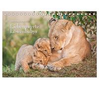 Emotionale Momente: Liebenswerte Löwenbabys / CH-Version (Tischkalender 2026 DIN A5 quer), CALVENDO Monatskalender: Die Kinder vom "König des Löwen"
