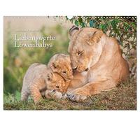 Emotionale Momente: Liebenswerte Löwenbabys / CH-Version (Wandkalender 2026 DIN A3 quer), CALVENDO Monatskalender: Die Kinder vom "König des Löwen"