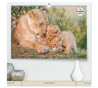 Emotionale Momente: Löwenbabys - so süß. (hochwertiger Premium Wandkalender 2026 DIN A2 quer), Kunstdruck in Hochglanz: Quirlige Löwenbabys in freier ... fotografiert, Bilder die besonders bezaubern.
