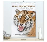 Emotionale Momente: Raubkatzen - die schnellen Jäger. (hochwertiger Premium Wandkalender 2026 DIN A2 hoch), Kunstdruck in Hochglanz: Raubkatzen sind ... für diesen Kalender zur Verfügung gestellt-