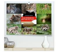 Emotionale Momente: Raubtiere in Deutschland (hochwertiger Premium Wandkalender 2026 DIN A2 quer), Kunstdruck in Hochglanz: Aus tausenden Bildern hat ... die Motive für diesen Kalender ausgesucht.