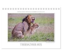 Emotionale Momente: Tierischer Sex. (Tischkalender 2026 DIN A5 quer), CALVENDO Monatskalender: Ingo Gerlach GDT hat aus seinem riesigen Bilderfundus ... Tieren ausgesucht. Mehr unter tierphoto.de