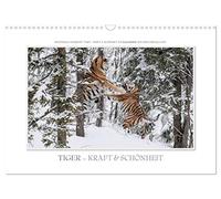 Emotionale Momente: Tiger - Kraft & Schönheit. / CH-Version (Wandkalender 2026 DIN A3 quer), CALVENDO Monatskalender: Ingo Gerlach GDT hat die ... Tiger für diesen Kalender zusammengestellt.