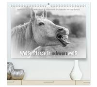 Emotionale Momente: Weiße Pferde in schwarzweiß. (hochwertiger Premium Wandkalender 2026 DIN A2 quer), Kunstdruck in Hochglanz: Ingo Gerlach hat die ... wurden dann in edles Scharzweiß umgewandelt.