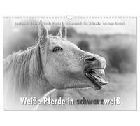 Emotionale Momente: Weiße Pferde in schwarzweiß. (Wandkalender 2026 DIN A3 quer), CALVENDO Monatskalender: Ingo Gerlach hat die weißen Pferde auf ... wurden dann in edles Scharzweiß umgewandelt.
