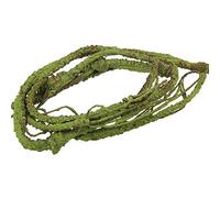 emours Branche Flexible de Vigne de la Jungle décorative pour lézard, Grenouilles, Serpents et Autres Reptiles, Petit, 1 m de Long