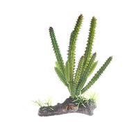 Emours Cactus plante ornementale en plastique Décoration désertique pour aquarium, vivarium