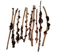 emours Lot de 10 branches de forêt naturelle pour terrarium - Décoration pour aquarium - Diamètre : 0,2 à 1 cm - Longueur : 20,3 à 33 cm