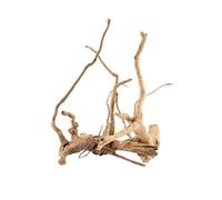 emours Lot de 2 plantes tropicales naturelles en bois flotté pour aquarium Différentes tailles Taille M