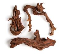 emours Mopani Lot de 3 pots de fleurs en bois flotté pour crevettes et betta, également pour terrariums et reptiles, branches assorties, petite taille (20-30 cm)
