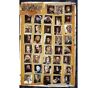 Empire 349453 Poster Harry Potter 7 Les reliques de la mort 61 x 91.5 cm