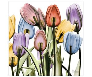 Empire Art Direct Panneau en verre trempé flottant sans cadre - Art mural graphique prêt à accrocher - 61 x 61 cm - Tulip Scape X-ray II
