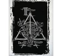 Empire Interactive Harry Potter Mini poster imprimé Deathly Hallows 40 x 50 cm