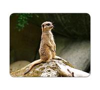 Empire Interactive MP12 Tapis de souris imprimé avec suricate 24 x 19 cm