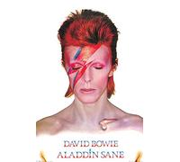 Empire Interactive Poster Bowie, David + poster Ü