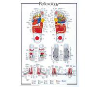 Empire Merchandising GmbH Consignment 536822 Poster éducatif Réflexologie 68 x 98 cm