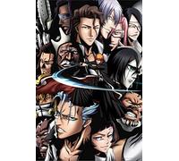 Empire Merchandising Poster de Bleach Manga Group Collage Merchandising Series Comic Art Action Character Swords Ichigo Kurosaki Soul Reaper Viz Media Animation japonaise Cool Wall Decor Poster 40,6 x 61 cm