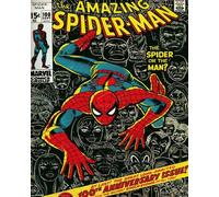 Empire Mini poster Spiderman + accessoires de fixation pas de cadre