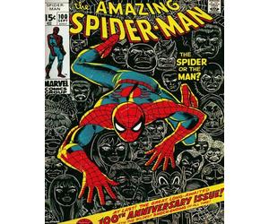 Empire Mini poster Spiderman + accessoires de fixation pas de cadre