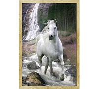 Empire Poster de Cheval Blanc + Accessoires m. MDF-rahmen Maxi buche