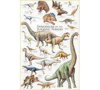 Empire Poster éducatif Dinosaures de l'Ère Jurassique