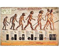 Empire Poster Human Evolution + Accessoires de Fixation