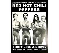 Empire Poster Red Hot Chili Peppers Socks Fight Like A Brave