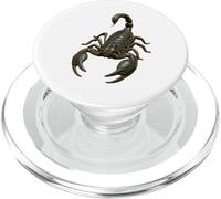 Empire Scorpion Insecte exotique réaliste en gros plan PopSockets PopGrip pour MagSafe