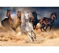 empireposter 738097 Chevaux - Feux - Nature Poster Chevaux de Photo - Dimensions 91.5 x 61 cm, Papier, Multicolore, 91,5 x 61 x 0,14 cm
