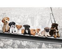 empireposter 744012 Chien sur Supports d'acier - New York skydogs - Plaisir Villes Chiot Poster - Dimensions 91.5 x 61 cm, Papier, Multicolore, 91,5 x 61 x 0,14 cm