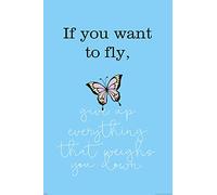 empireposter Motivation - If You Want to Fly - Poster motivation - Dimensions : 61 x 91,5 cm + 2 barres d'affiche en plastique de 62 cm - Noir