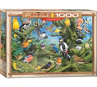 empireposter Puzzle de 1000 pièces - Puzzle - Monde des oiseaux colorés