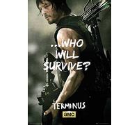 Empireposter - Walking Dead, The - Daryl Survive - Taille (cm) : 61 x 91,5 cm - Poster -
